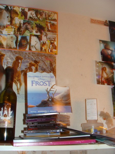 såkanskejagblirsedd 002