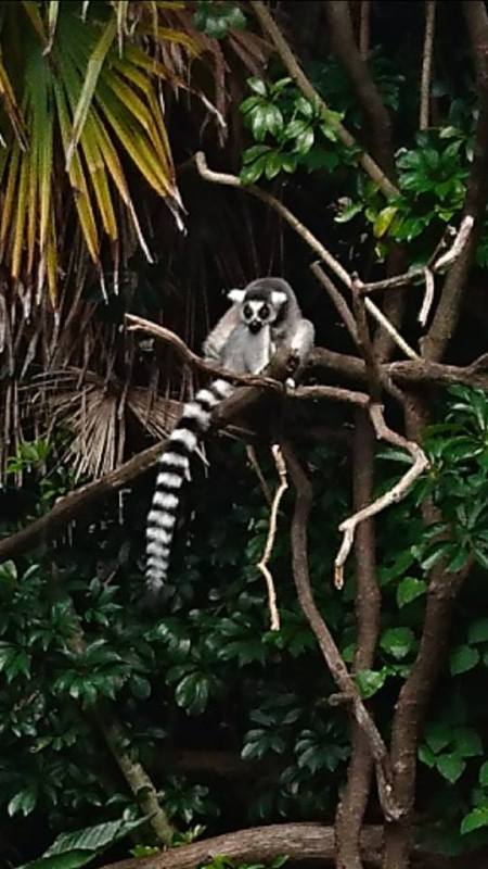 iliketomoveitmoveitiliketomoveitmoveit